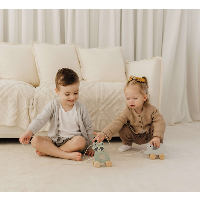 Bubble Wooden Elephant Pull Along Toy