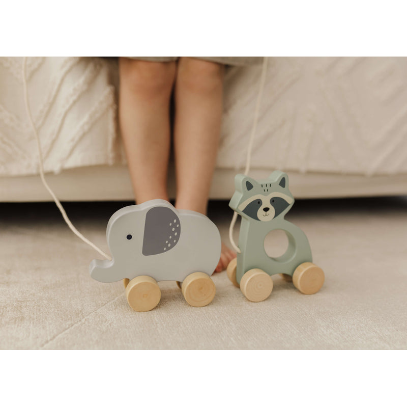 Bubble Wooden Raccoon Pull Along Toy