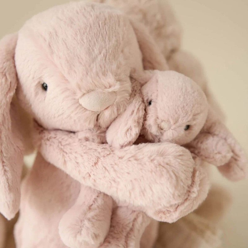Snuggle Bunnies Frankie the Hugging Bunny