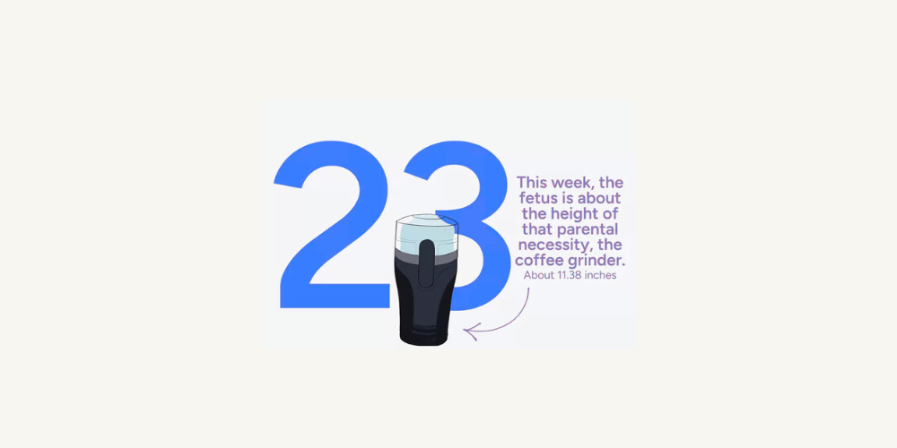 Pregnancy Week by Week: Week 23