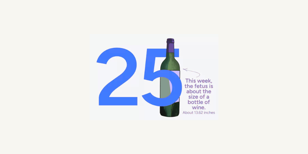 Pregnancy Week by Week: Week 25