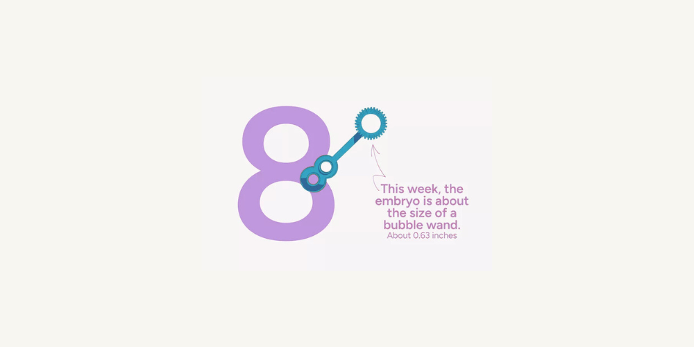 Pregnancy Week by Week: Week 8