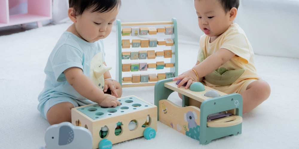 Cognitive Development Toys