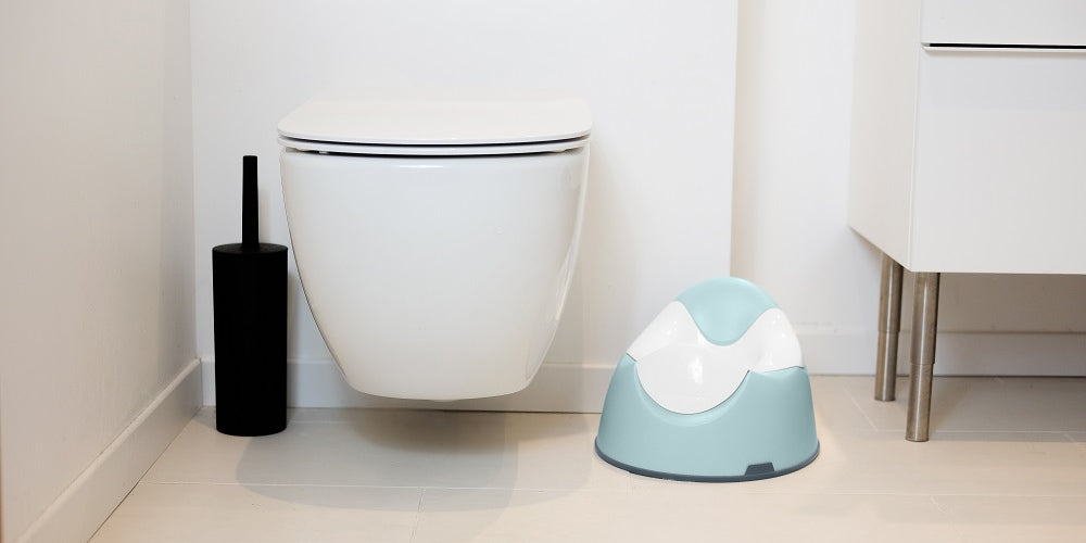 Potty Training Essentials for Toddlers