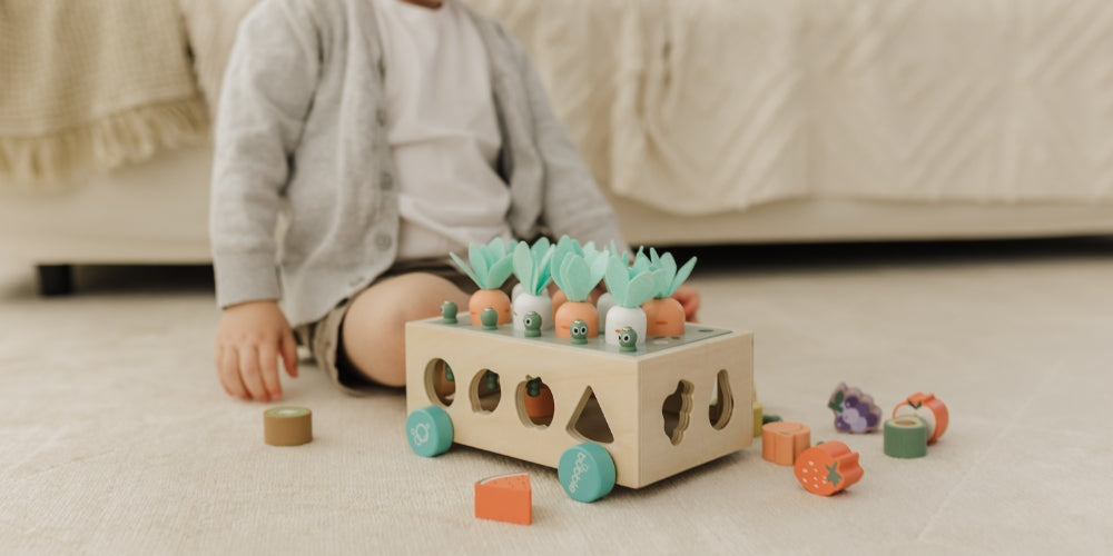 Toddler & Big Kid Toys
