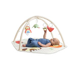 Skip Hop Geometric Wonders Activity Gym (With Crocodile Tummy Time Mirror)
