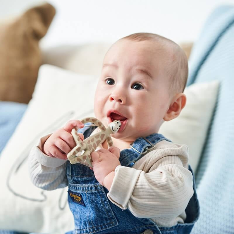 Matchstick Monkey Animal Teether