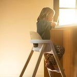 Nuna BRYN High Chair - Heritage