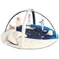 Skip Hop Celestial Dreams Activity Gym