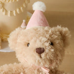 Snuggle Bunnies Birthday Arthur With Gingham Hat