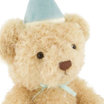 Snuggle Bunnies Birthday Arthur With Gingham Hat