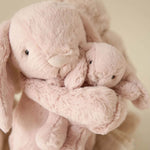 Snuggle Bunnies Frankie the Hugging Bunny